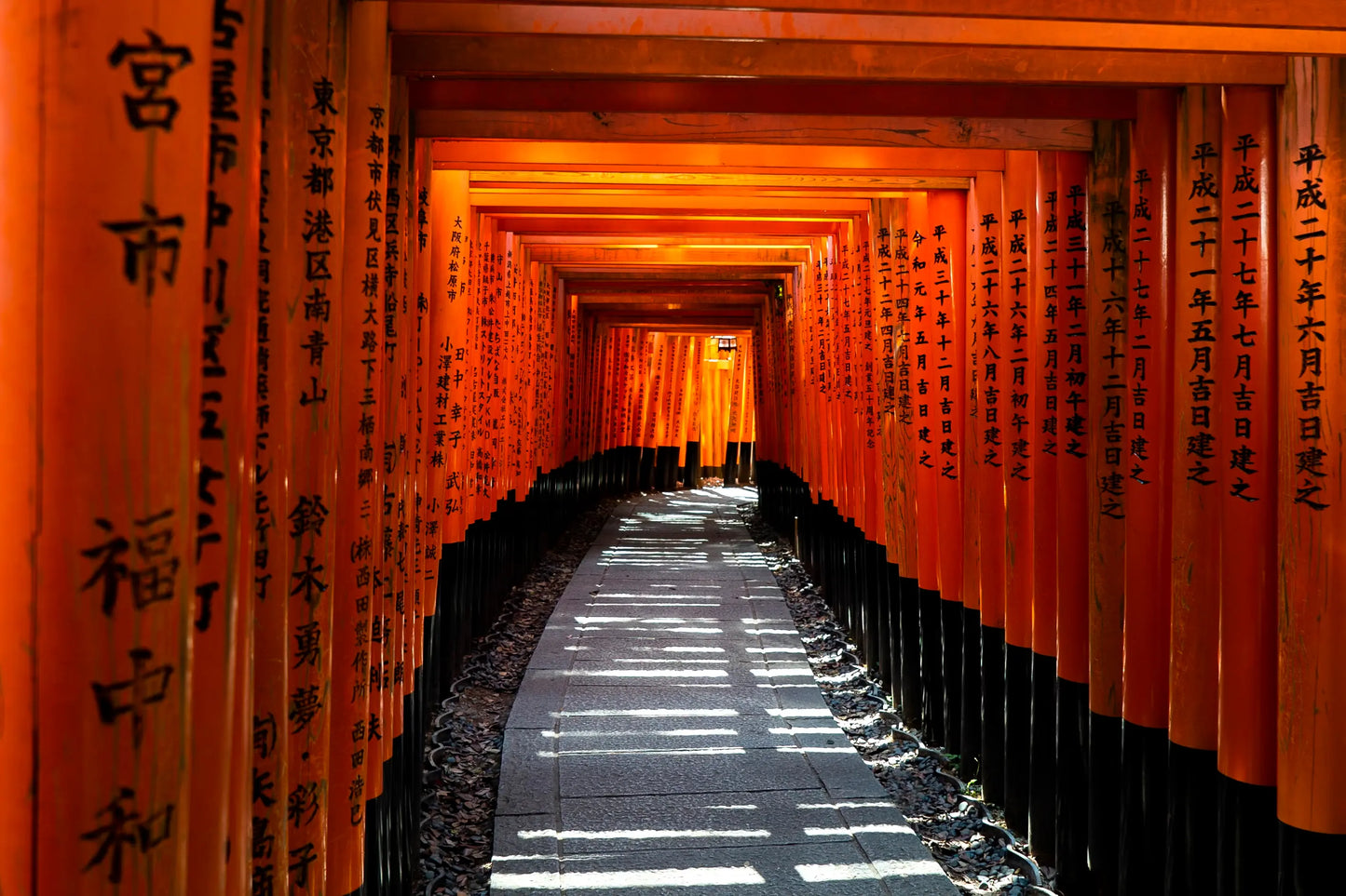 One Day Kyoto Tour by Car