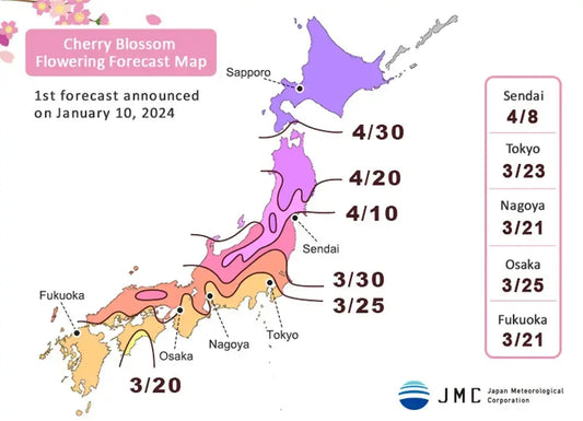 Japan sakura map 