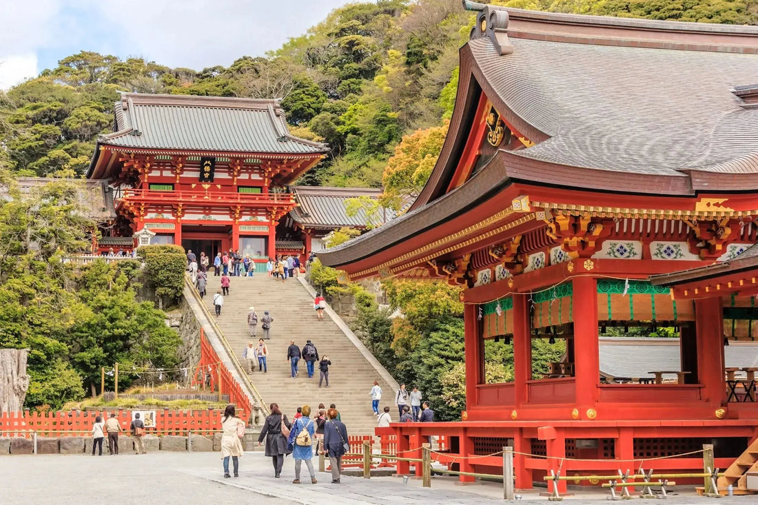 A wide-angle view of Tsurugaoka Hachiman-gu Shrine in Kamakura, Japan, featuring the main shrine pavilion on a hill with stone steps leading up, surrounded by lush greenery and seasonal cherry blossoms