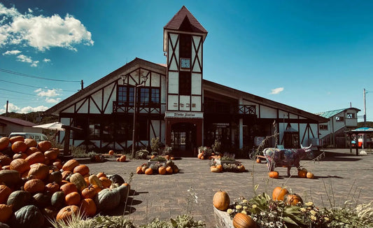 Group Tours Japan