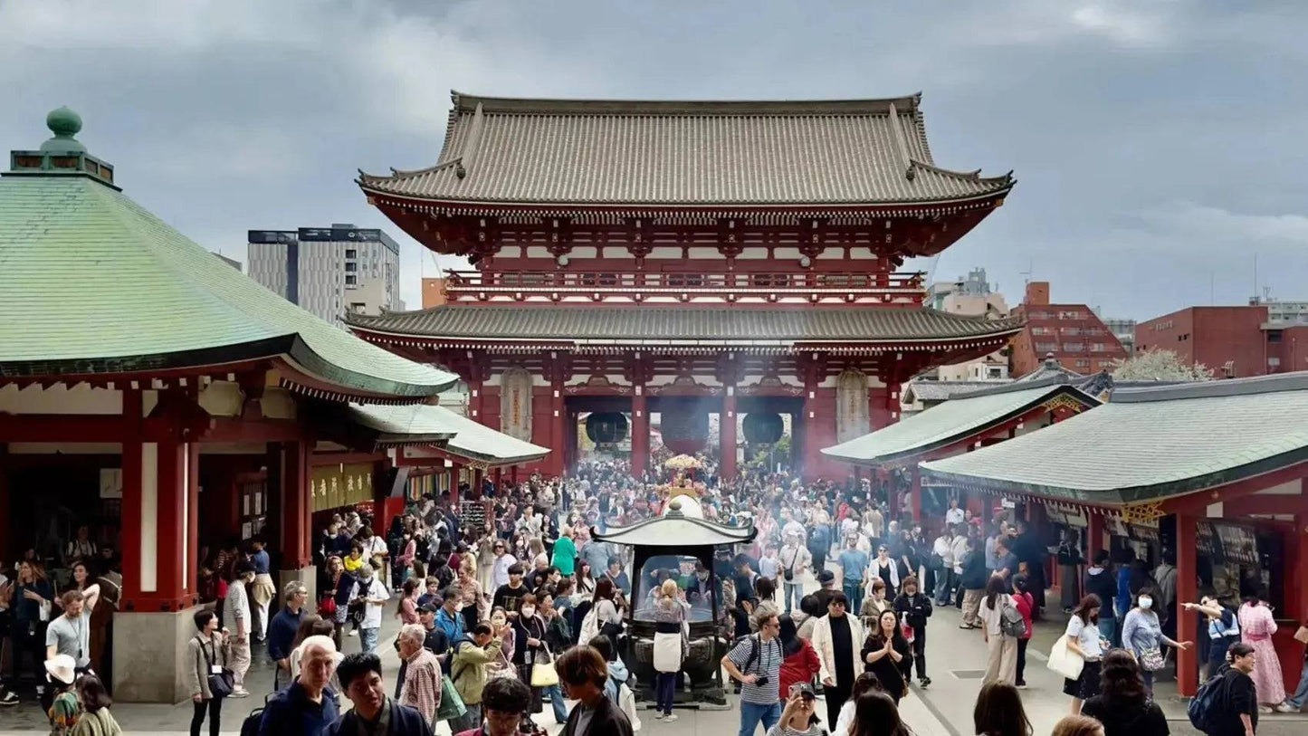 One day Tokyo Private Tour